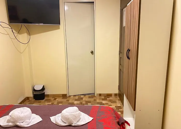Guest Medina